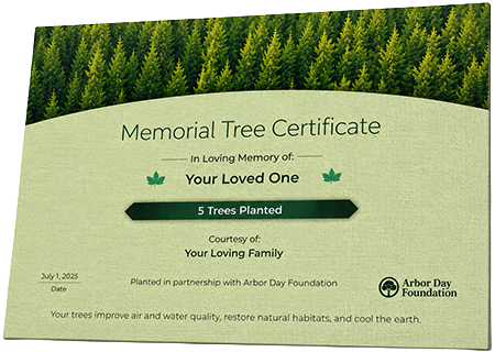 Plant Trees in Memory of Leona Mott